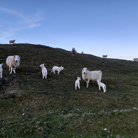 Skye Stays Staffin Buitenkant foto